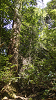 camp28 (137)_thumb.png